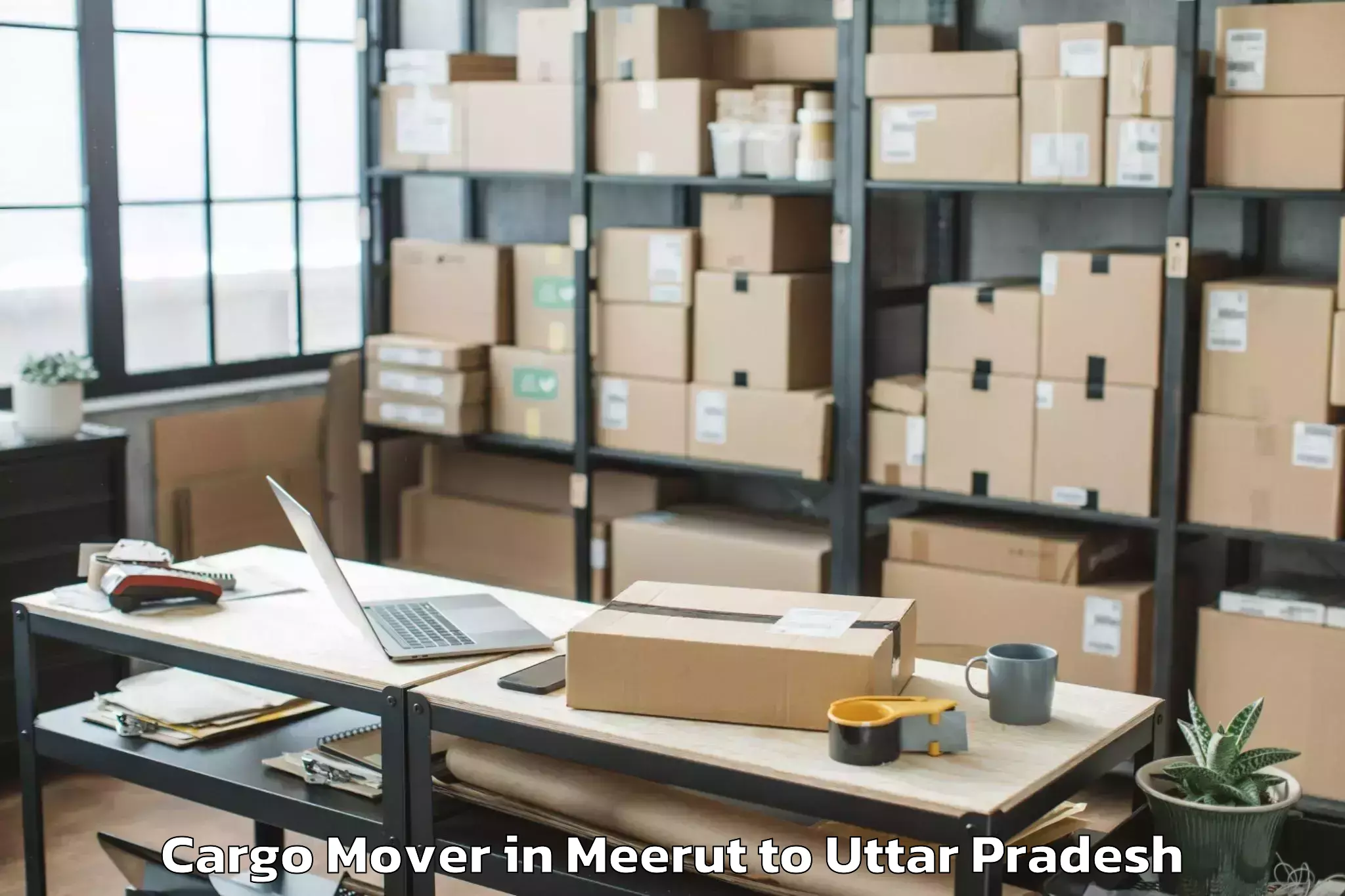 Book Meerut to Mahavan Cargo Mover Online